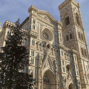 Donatello’s David in Bargello and Michelangelo’s David in Accademia Gallery